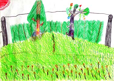 家から見える景色