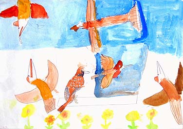 鳥たくさんきたよ