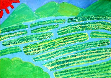 棚田にこめた思い