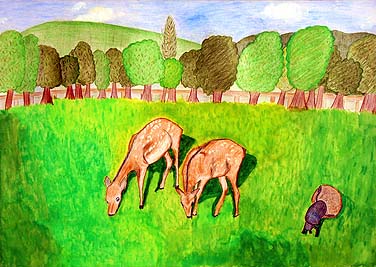 奈良公園のエコシステム