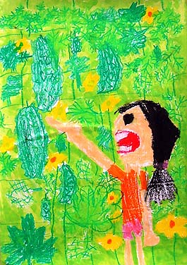 ゴーヤのカーテンは涼しいよ！！