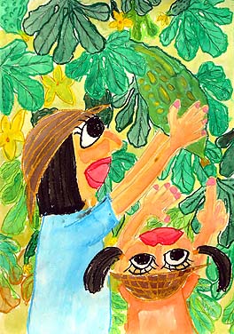 ゴーヤたくさんとれたよ