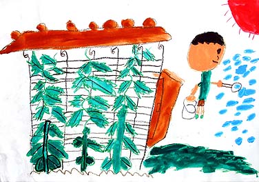 自然のクーラー