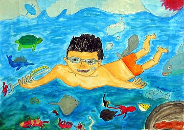 たくさんの生き物がすめるきれいでゆたかな海