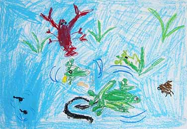 ぼくの大すきないきもの