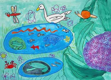 水のすきな生き物