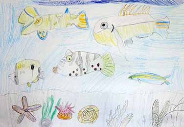 めずらしい魚たち