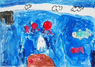 海の生き物たち