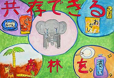 共存できる森林を