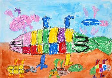 カメ、カメ、カメ・・・