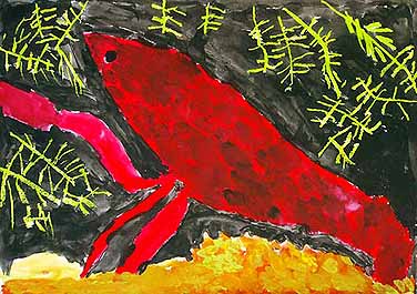 用水路にいるザリガニ