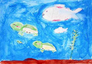 カメとなかまたち