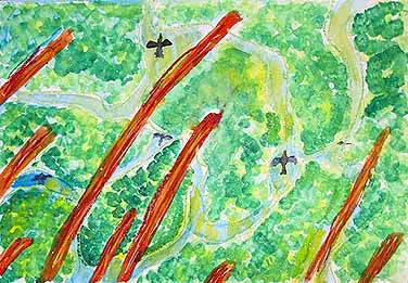 森で上を見上げると