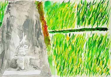 緑のじゅうたん