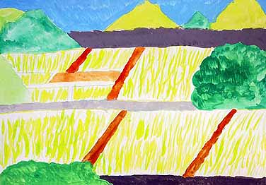 今ある田んぼの風景