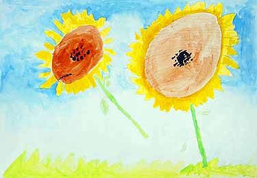 ひまわりさいた