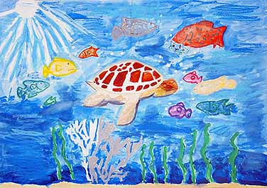 海がめと仲間達