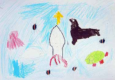 海のなかまたち