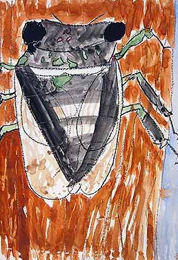 ミンミンぜみをつかまえたよ