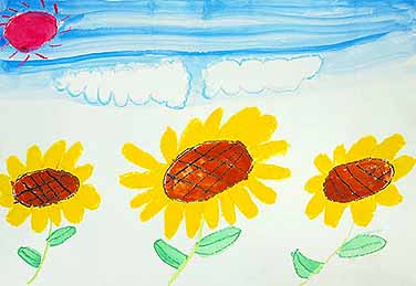 きれいなひまわり