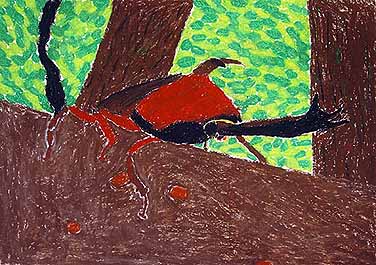 カブトムシ見つけたよ