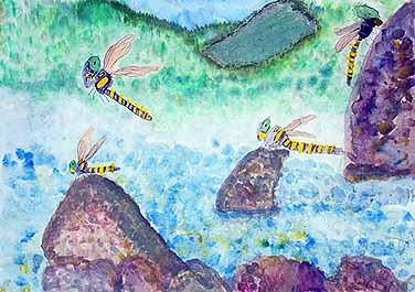 オニヤンマのすみか