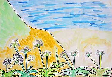 きれいな海とはまゆう