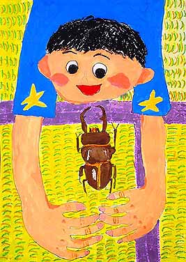 ぼくのつかまえたコクワガタ