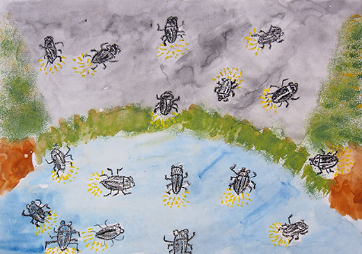 ほたるがいっぱい