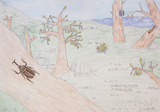 きれいな自然をいつまでも