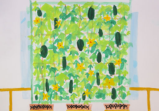 グリーンカーテン