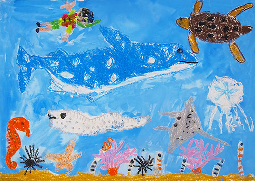 海の中のいきもの