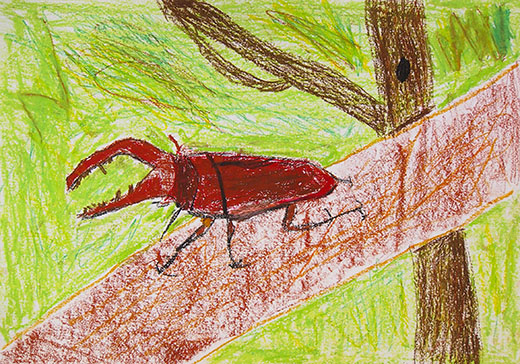 大すきなこん虫