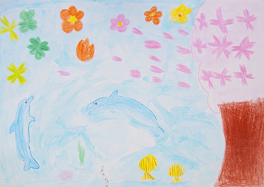 大人になってもきれいな海