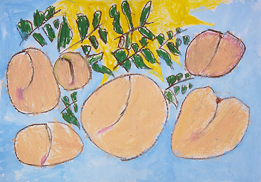 今年初めて桃狩りをしたよ