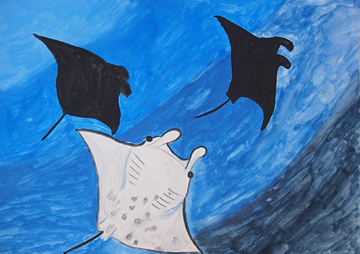 マンタの住める海