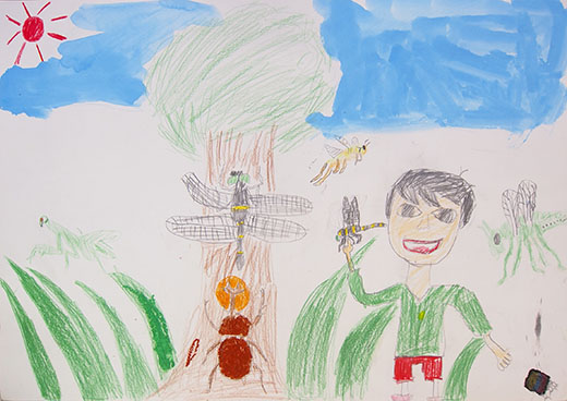 自然がいっぱいある世界