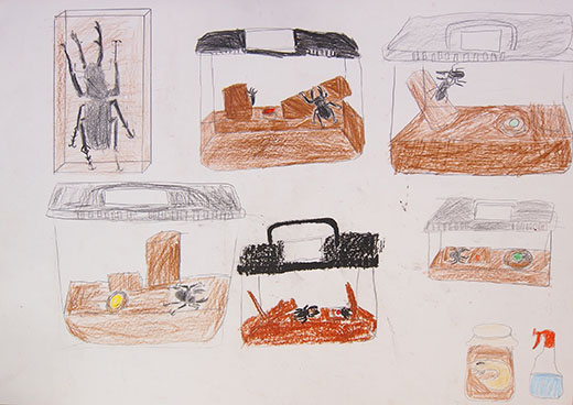 自分の好きな生き物を大切にしよう