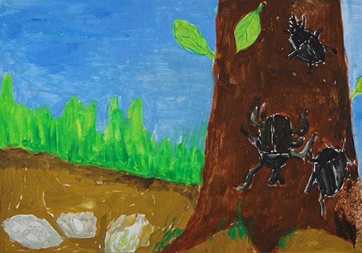 カブトムシの生活