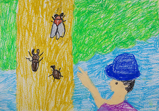 大好きな昆虫を見つけた！