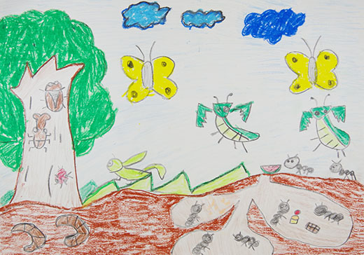 みどりのしぜん