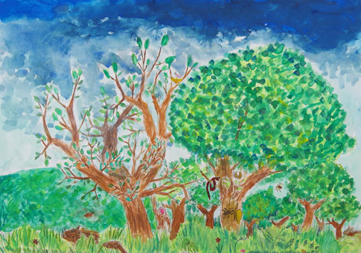 どうぶがつ住む林