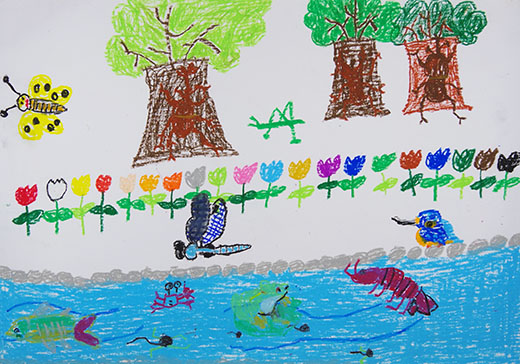 大切な自然や生きもの