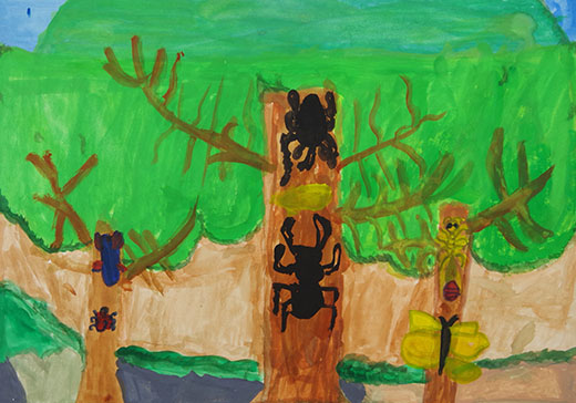 森林にすむ虫たち