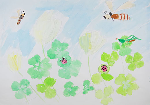 シロツメクサと虫のなかまたち