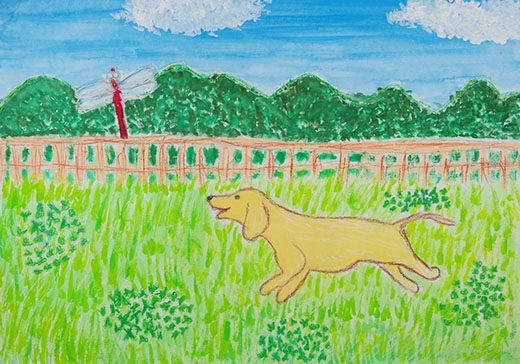 とんぼと追いかけっこ