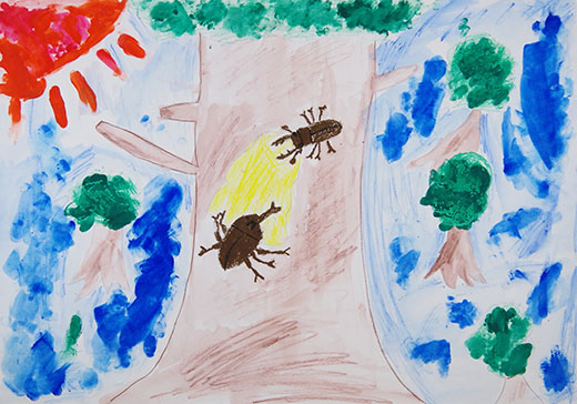 かぶと虫とくわがた虫