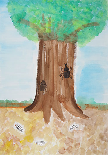 大きくそだてかぶと虫