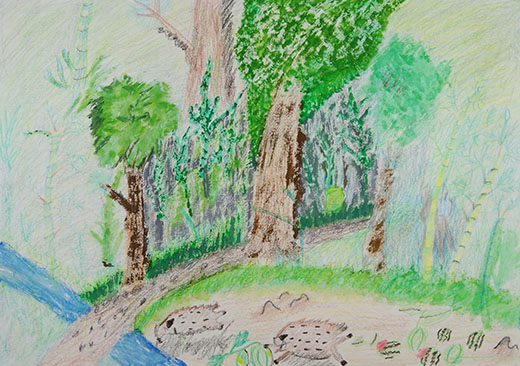 うっそうとした森