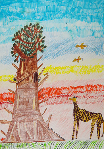 動物たちが大切にする木